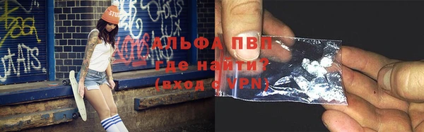 прущие грибы Алзамай
