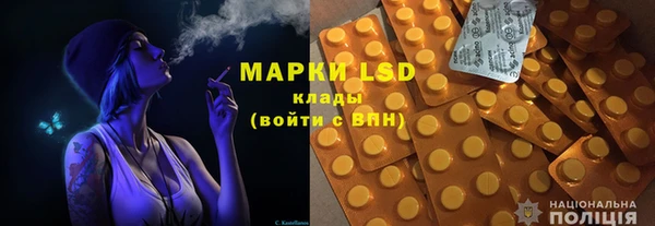прущие грибы Алзамай