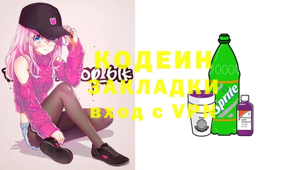 прущие грибы Алзамай