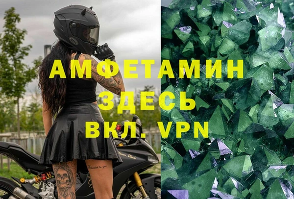 прущие грибы Алзамай