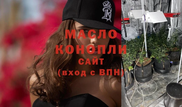 прущие грибы Алзамай