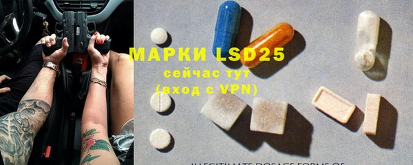 прущие грибы Алзамай