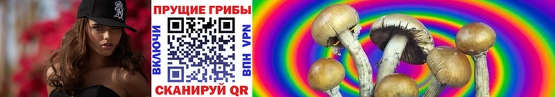 Псилоцибиновые грибы ЛСД  сколько стоит  Коркино 